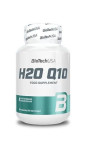 H2O Q10